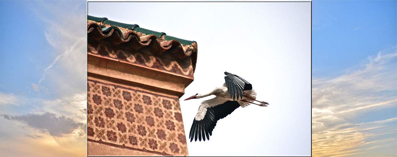 dar tanit maroc maison